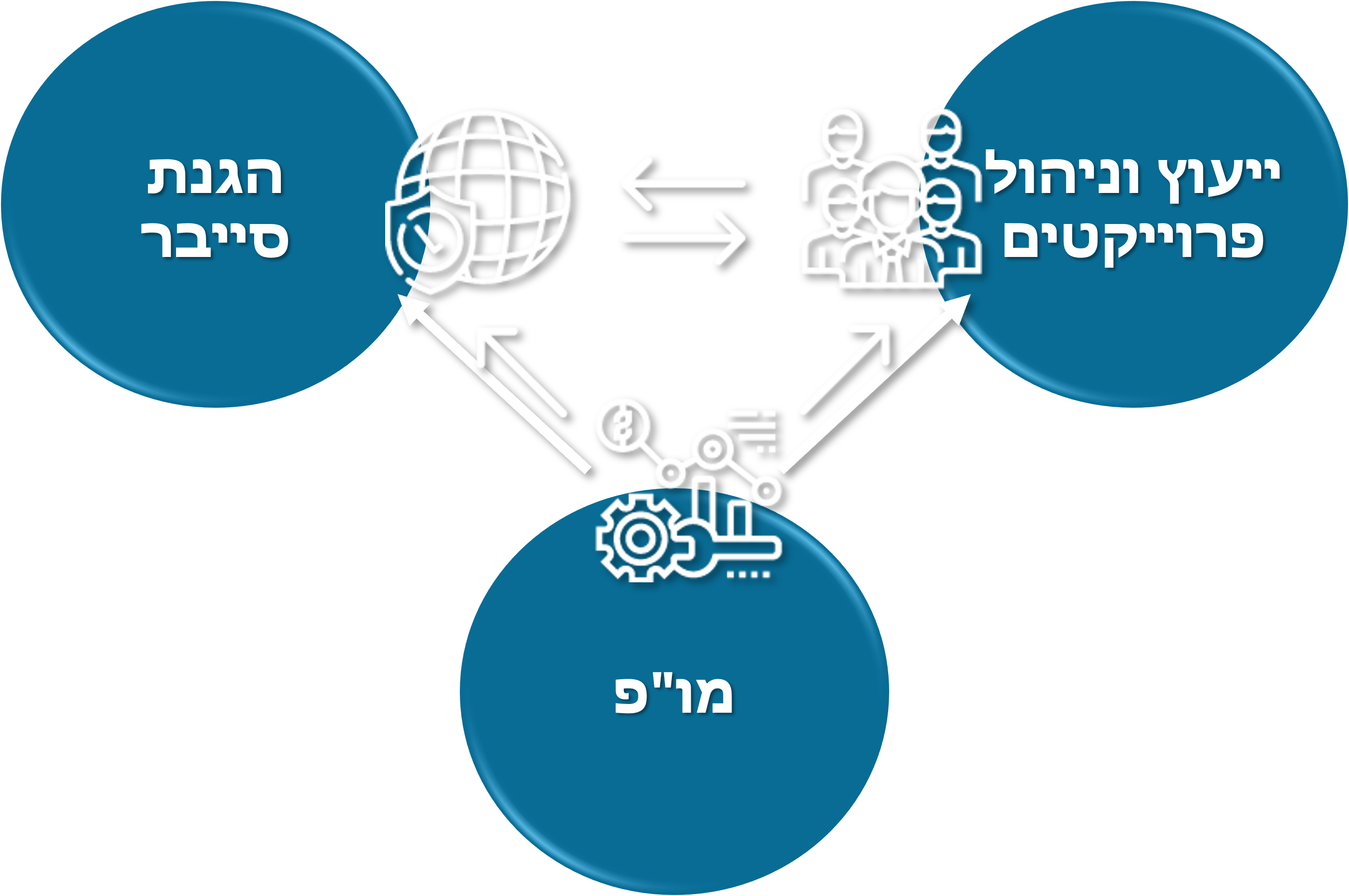 תחומי הפעילות של ליאקום: ייעוץ וניהול פרויקטים, הגנת סייבר ומחקר ופיתוח, הפועלים יחד כמכלול